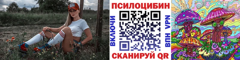 купить наркоту  Углегорск  Псилоцибиновые грибы GOLDEN TEACHER 